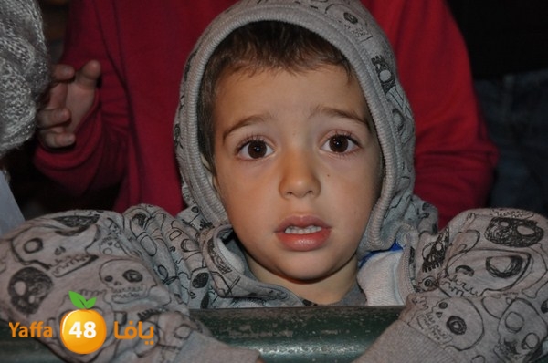 tree light 1208 (54).JPG